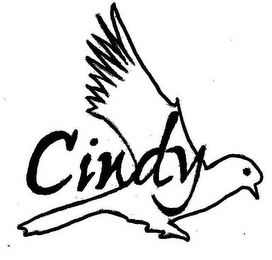 CINDY logo