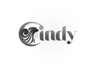 CINDY logo