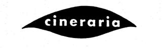 CINERARIA logo