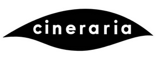CINERARIA logo