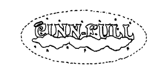 CINN-FULL logo