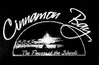 CINNAMON BAY GOURMET SAUCES THE FLAVOR OF THE ISLANDS logo