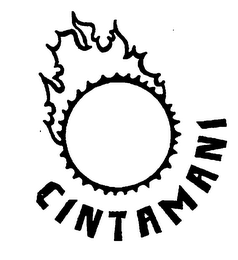 CINTAMANI logo