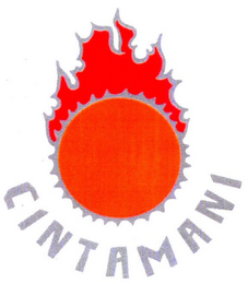 CINTAMANI logo