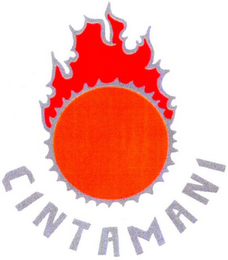 CINTAMANI logo