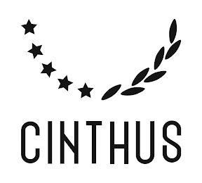 CINTHUS logo