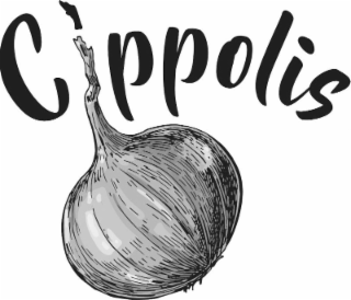 CIPPOLIS logo
