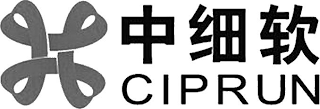 CIPRUN logo