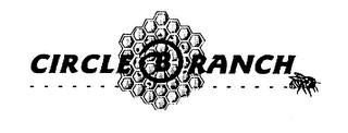 CIRCLE B RANCH logo