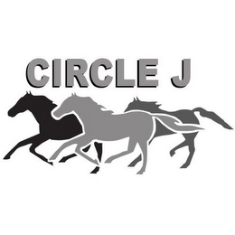 CIRCLE J logo