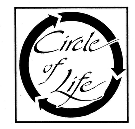 CIRCLE OF LIFE