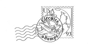 CIRCUITS & BUMPS, INC. USA 93 logo
