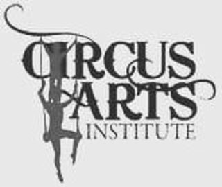CIRCUS ARTS INSTITUTE logo