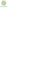 CITIZEN EFFECT logo
