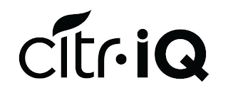 CITR-IQ logo
