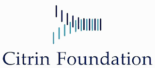 CITRIN FOUNDATION logo