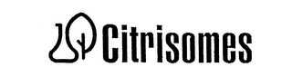 CITRISOMES logo