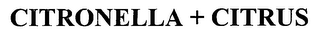 CITRONELLA + CITRUS logo