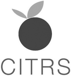 CITRS logo
