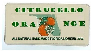 CITRUCELLO ORANGE ALL NATURAL HAND MADEFLORIDA LIQUEUR, 30% logo