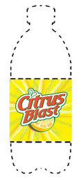 CITRUS BLAST logo