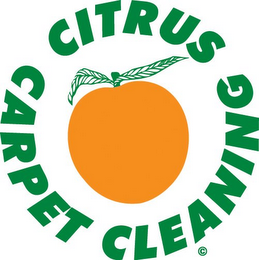 CITRUS CARPET CLEANING logo