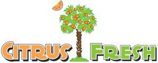 CITRUS FRESH logo