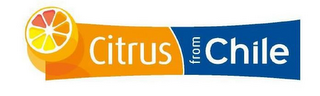 CITRUS FROM CHILE logo