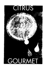 CITRUS GOURMET logo