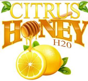 CITRUS HONEY H2O logo