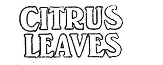 CITRUS LEAVES