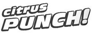 CITRUS PUNCH! logo
