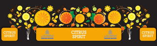 CITRUS SPIRIT (THREE TIMES) AL FAKHER SPECIAL EDITION (TWO TIMES) logo