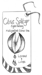 CITRUS SPLITZER LEMONS & LIMES logo