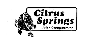 CITRUS SPRINGS JUICE CONCENTRATES logo