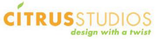 CITRUS STUDIOS DESIGN WITH A TWIST logo