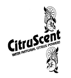 CITRUSCENT WITH NATURAL CITRUS POWER! logo