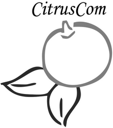 CITRUSCOM logo