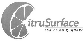 CITRUSURFACE A SUBLIME CLEANING EXPERIENCE logo