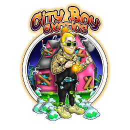 CITY BOY EXOTICS logo
