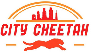 CITY CHEETAH logo