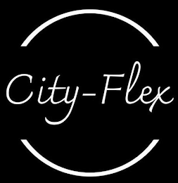 CITY-FLEX logo