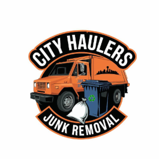 CITY HAULERS JUNK REMOVAL JUNK 381 logo