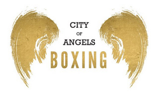 CITY OF ANGELS BOXING logo