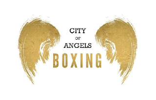 CITY OF ANGELS BOXING logo