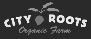CITY ROOTS ORGANIC FARM