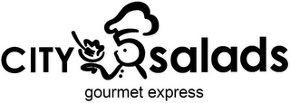 CITY SALADS GOURMET EXPRESS logo