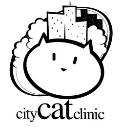 CITYCATCLINIC logo