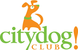 CITYDOG CLUB logo