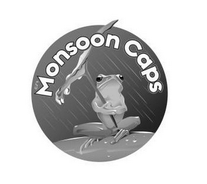 CJ'S MONSOON CAPS logo